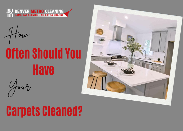 How Often Should You Have Your Carpets Cleaned