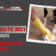 Remove Pet Odors from Carpets